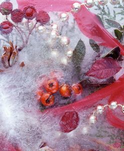 FS882 FrozenRedXmasBerries&RedRibbon&leaves