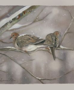 Winter Doves