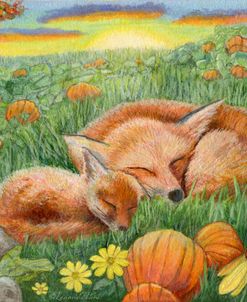 Pumpkin Patch Nap