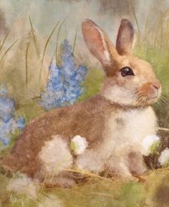 Bunny In Meadow