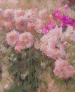 Blush Flower Bush