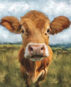 Cow Close Up
