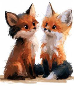 Fox Kits