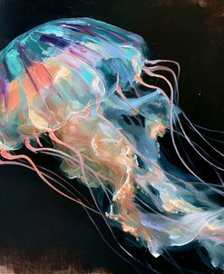 Jellyfish