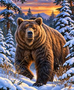 The Great Grizzly