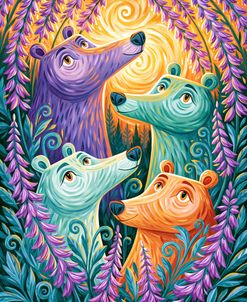 The Bears