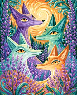 The Foxes