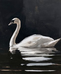 White Swan
