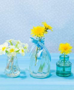 AF20130501_Flowers_Bottles_024