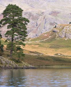 Lake District 772