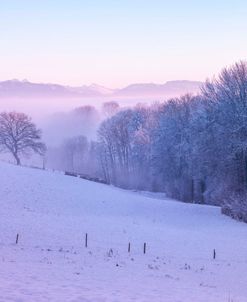 Winter Lavender Landscape