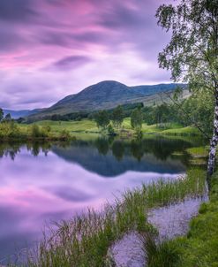 Purple Lake