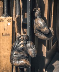 AF20160508 Boxing Gloves 124C02