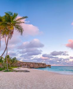 Tropical beach at dusk, Barbados