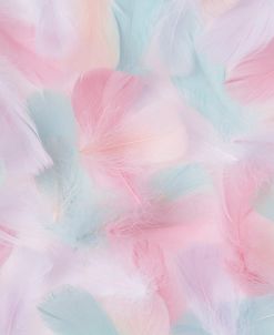 AF20230719_Feathers_029