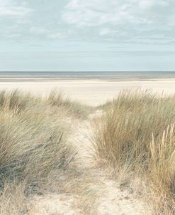 Oceanspray Dune Beach