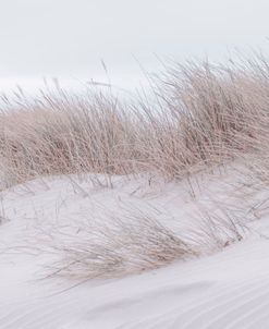 Sandy Beach Washout