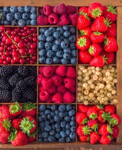 Berries Box