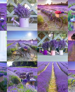 Lavender Set