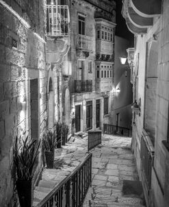 Malta Night