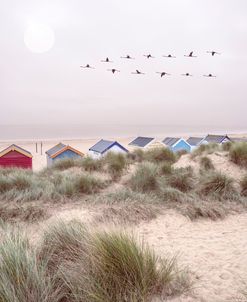 Beach Huts and Dunes