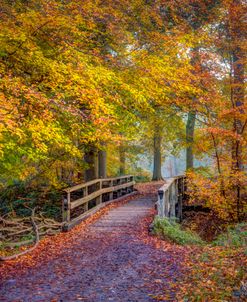 Autumn Wood Bridge
