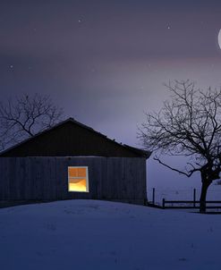 Winter Night