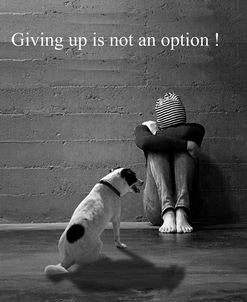 Don’t Give Up