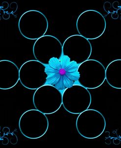 Nature Geometry 1