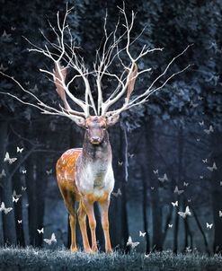 Magical Deer