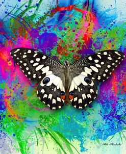 Color and Butterfly 2