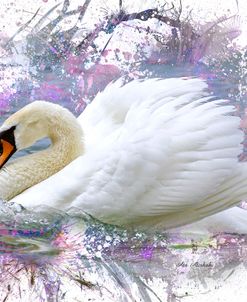 Swan 2A