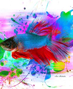 Fish and colors