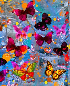 Butterflies Season