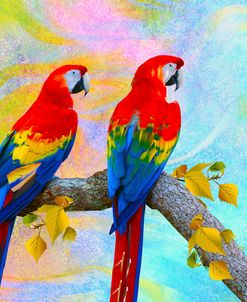 Parrots 87A