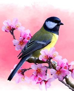 Spring Bird 3A