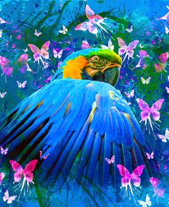 Bird In Color