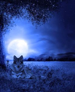 Moon Night And Wolf