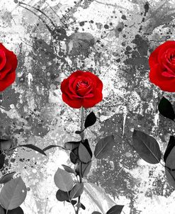 Red Roses