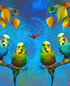 Color Birds