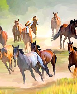 Wild Horses Running