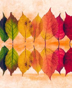 Color Of Autumn