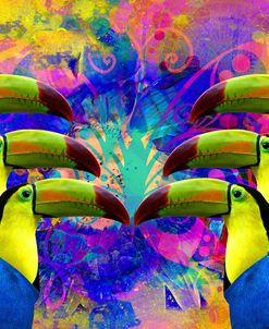 Colorful Birds A1A