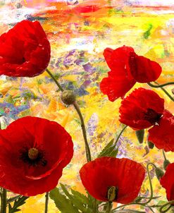 Love Poppy Flowers