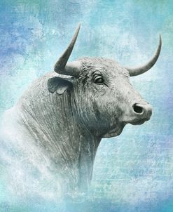 Bull Portrait