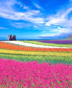 Colorful Landscape