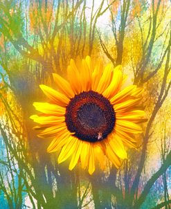 Sun Flower Art