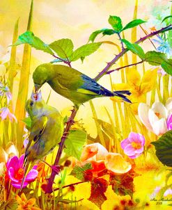 Nature Bird And Flowers 3