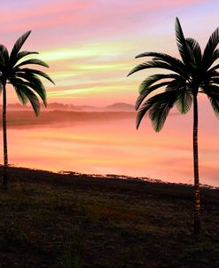 Sunset At The Beach