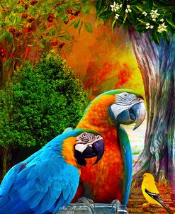 Parrot Love 3